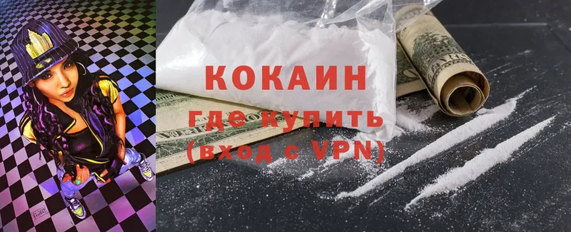 COCAIN Fish Scale  сколько стоит  Костомукша 